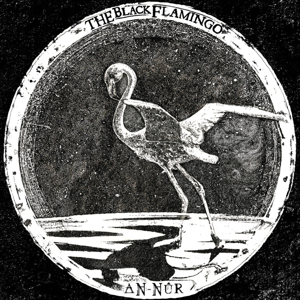 the black flamingo an nur