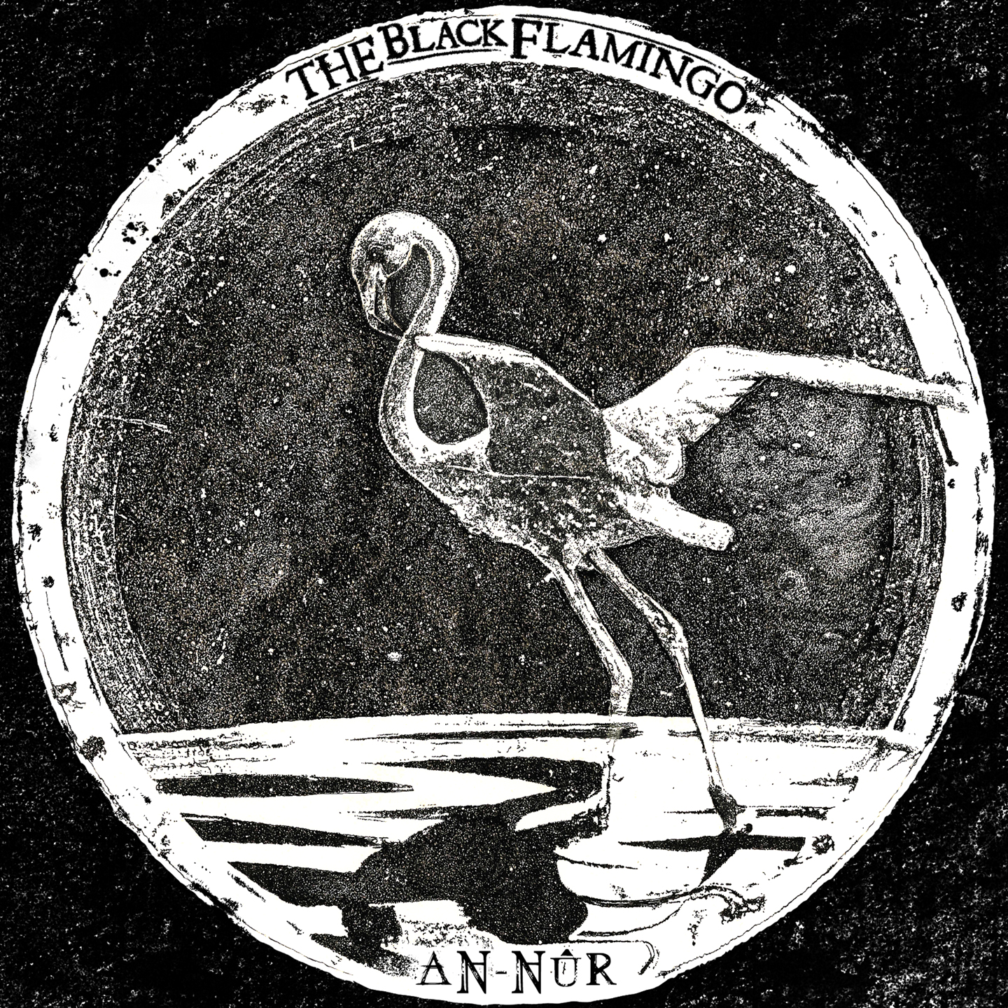 the black flamingo an nur