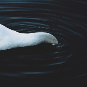 sure destruction of form (2)